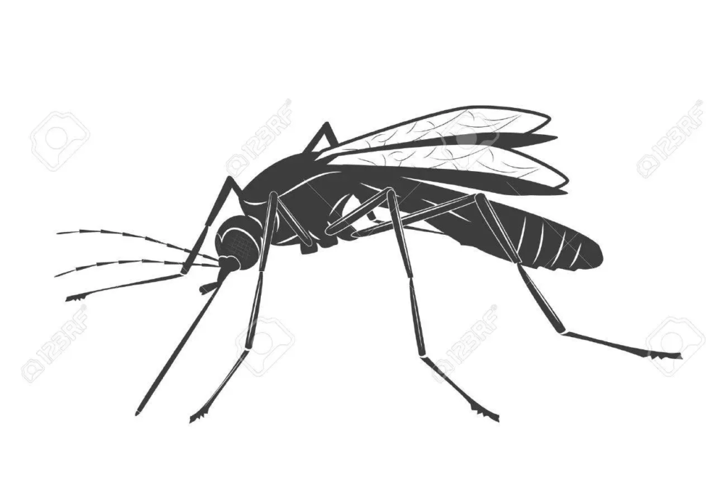 Your Next Action Movie